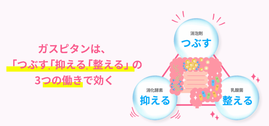 ガスピタン 仕組み